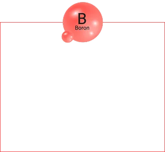 Boro