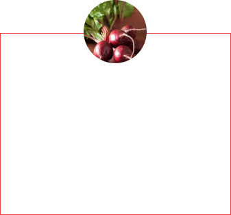 Beterraba