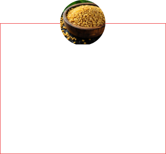 Feno Grego
